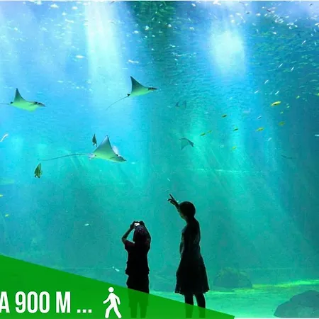 דירה Joli Petit T2 Entre Port Et Vieille בולון-סור-מאר